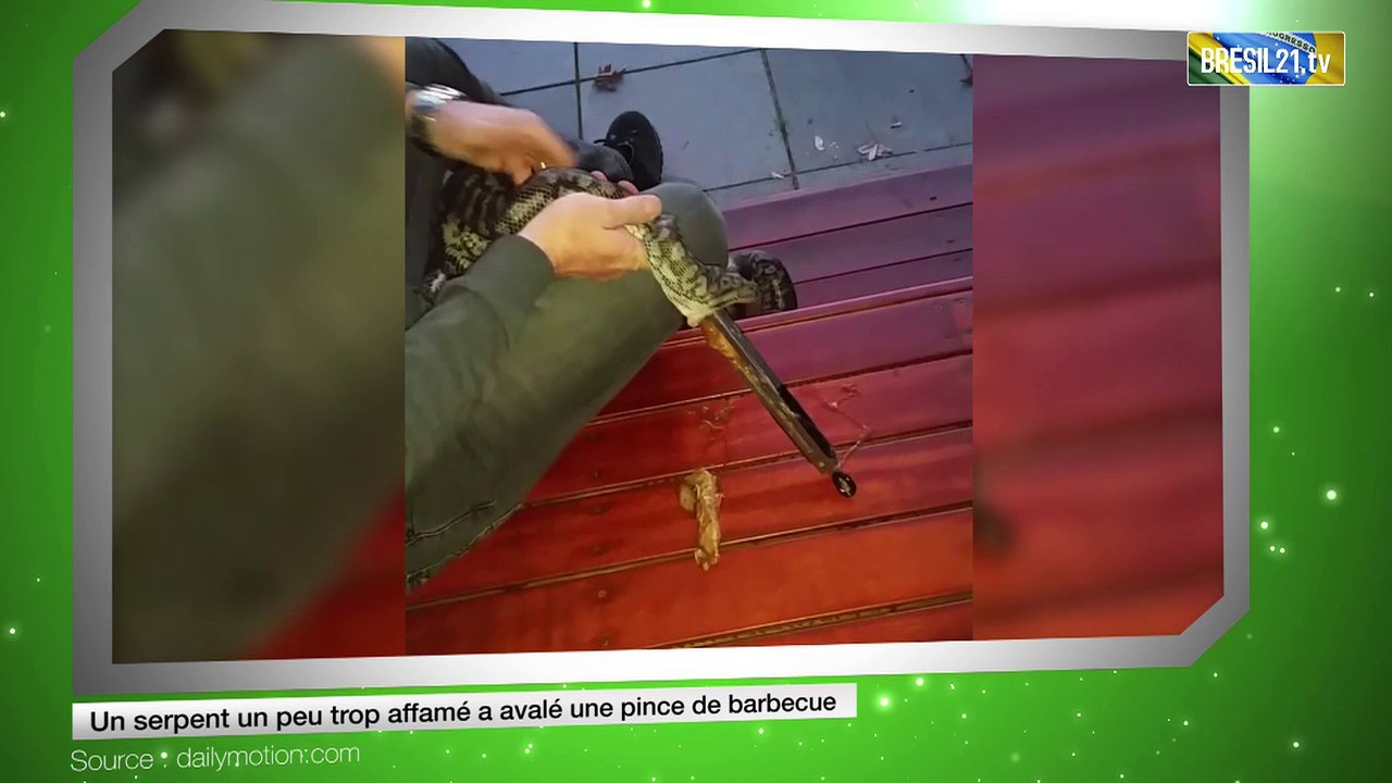 Un serpent un peu trop affamé a avalé une pince de barbecue
