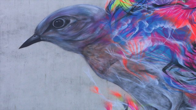 QUEL DROLE D'OISEAU - STREET ART A VANNES !