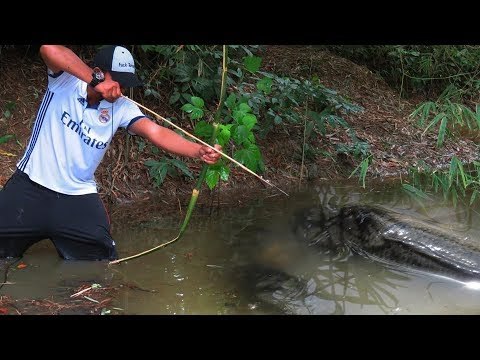 Amazing Boy Uses PVC Pipe Compound BowFishing To Shoot Fish -Khmer Fishing At Battambang Cambodia