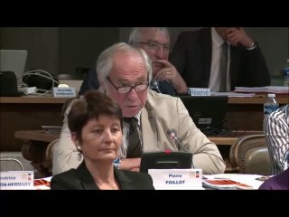 Pierre POILLOT. MuséoParc Alésia. Session du 26 juin 2017