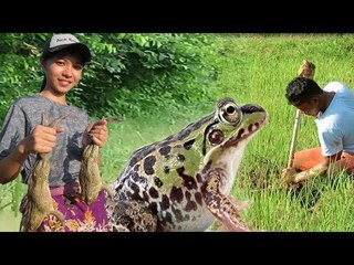 WoW Cute Couple Dig Big Frog in Deep Hole at Battambang Province