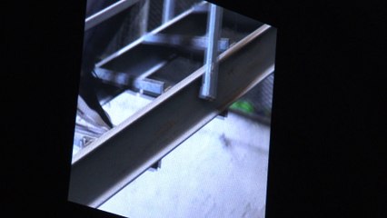 Desfilada Oscar Leon Juny 2017