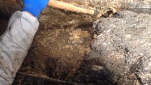 Northern Ireland Water work to remove massive 'fatberg' from Belfast sewer