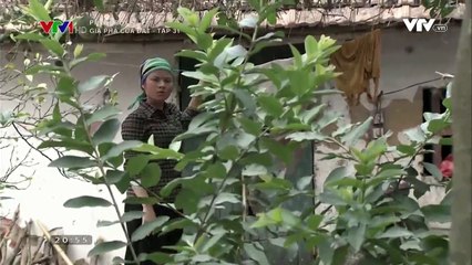 Gia phả của đất - Tập 31 - Phim VTV1