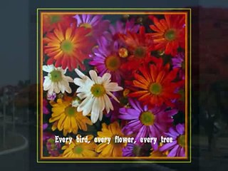 One Pair of HandsOne Pair of Hands