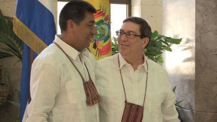 Canciller de Bolivia se reúne con su homólogo cubano durante visita oficial