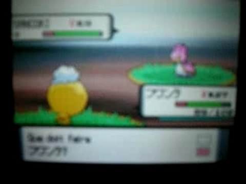 évolution de baudrive shiney