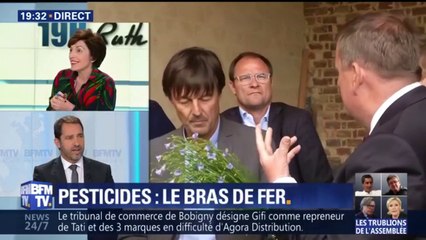 Pesticides: "Nicolas Hulot a réagi très vite, peut-être trop vite", estime Castaner