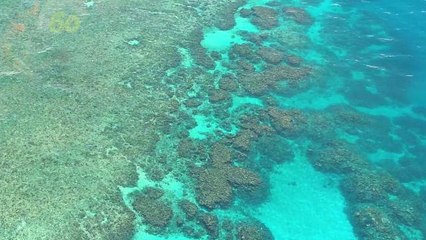 Australia's Great Barrier Reef Is Worth $42B