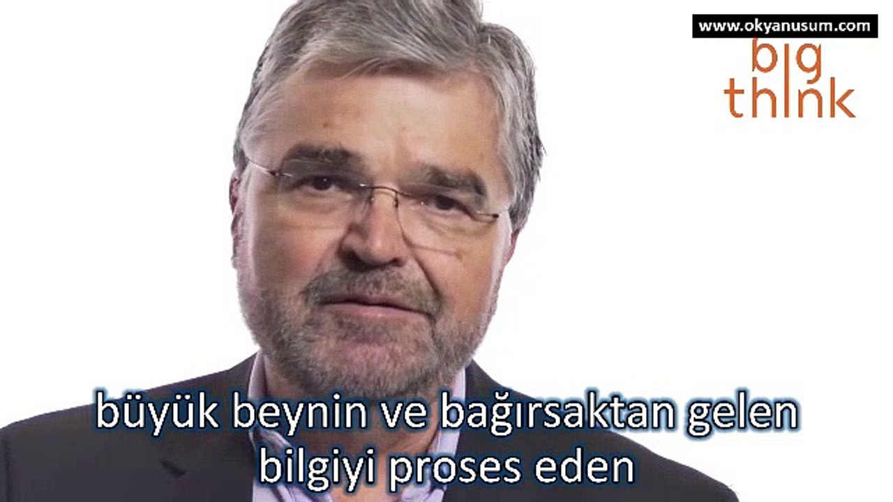 Bağırsakların 2. Beyin Olması