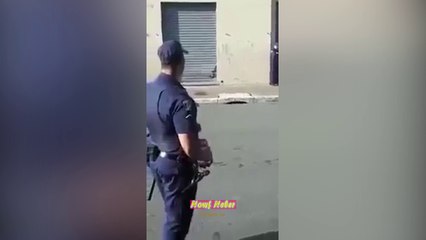 os videos mais engraçados do whatsapp 2017 pra você morrer de rir