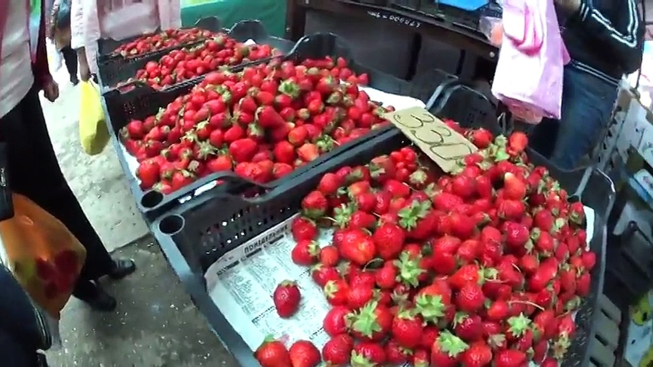 "Круче чем в Москве..." Россиянка поехала отдыхать в Крым и сняла селфи - видео всего что с ней происходило. Смотрим