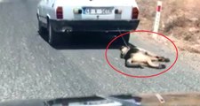 Vicdansızlıkta Çığır Açtı! Köpeğini Arabasının Arkasında Sürükledi