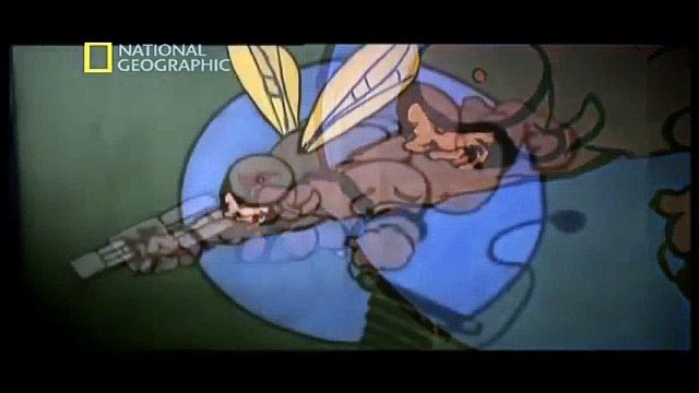 Savaş Uçakları Balangıç- National Geographic Türkçe Dublaj Belgesel