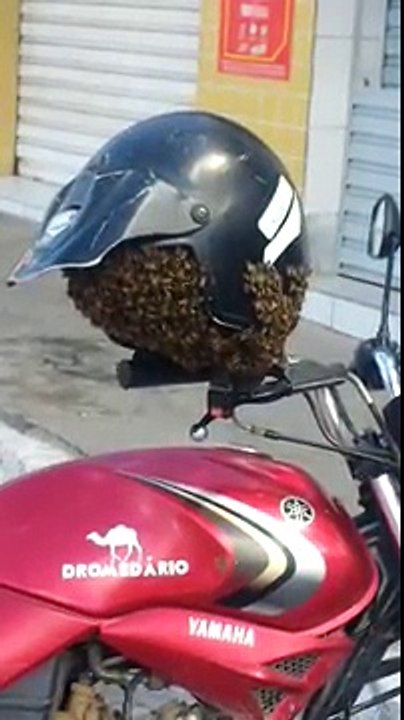 Torna a prendere la moto dopo qualche giorno, ma trova una brutta sorpresa!