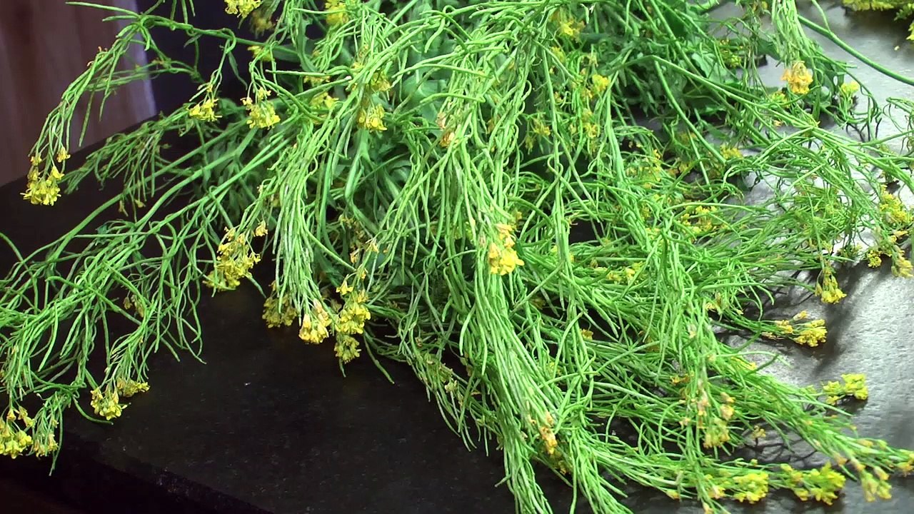 Hautes-Alpes : Des plantes sauvages pour le chef étoilé de l'Alta Peyra