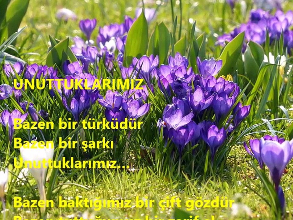 UNUTAMADIKLARIMIZ 2- Dagbey Şiirleri (Ali Dogan)