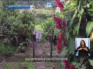 Nota Pluricultural - Comunidades amazónicas