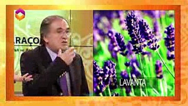 En faydalı şifalı meyveler - sifalibitkilerehberi.com