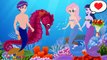 My Little Pony MLP Equestria Girls Transforms with Animation Bloody Wedding Mermaid
