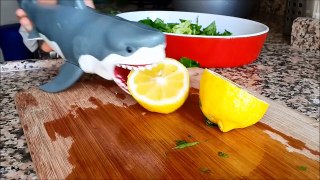 shark toy playing making saladsad