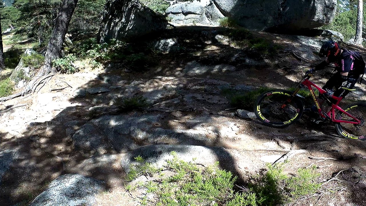 Cercedilla 24062017