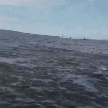 Huge Humpback Whale Breaches Just Inches Away From Boat Off New Jersey