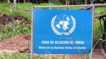 La guerrilla FARC concluyó entrega de armas en Colombia