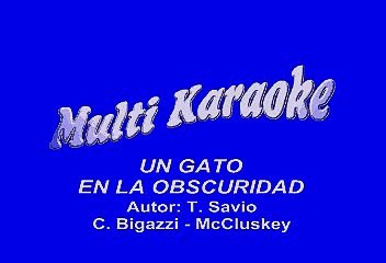 Roberto Carlos - Un gato en la oscuridad (Karaoke)