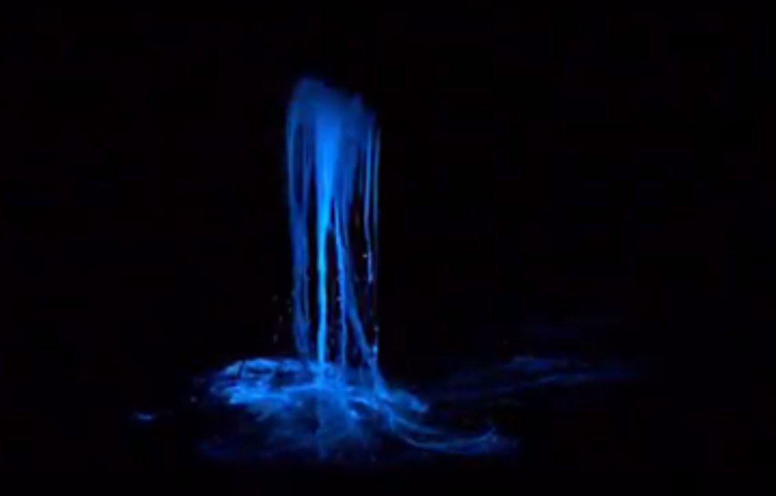 Bioluminescence Phenomenon Creates Dazzling Waters in Tasmania