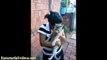 CAT VIDEOS ★ Comical Cats (HD) [Funny Pets]