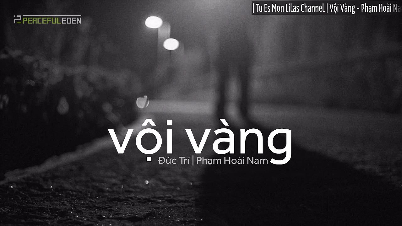 Lyrics || Vội Vàng || Phạm Hoài Nam || Sáng tác - Đức Trí