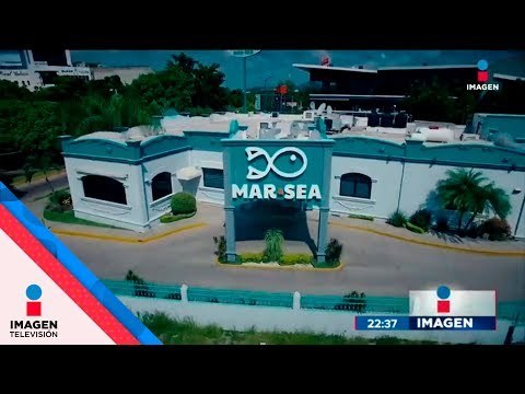 ¿Qué está pasando en CULIACÁN, SINALOA? | Noticias con Ciro Gómez Leyva