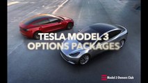 Tesla Model 3 Options   Model 3 Own