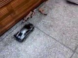 Remote controlled Racing Car, Car Toy, Cars Todfgrys fo
