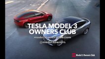 Tesla Model 3 Options   Model 3 Owne