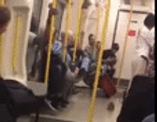 Squirrel Causes Commotion on London Underground