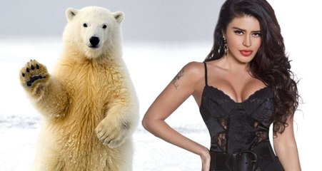 Ebru Polat, Kutup Ayısını Evlat Edindi