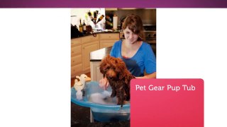 Buy Pet Bathing Product : Precious Pets Paradise