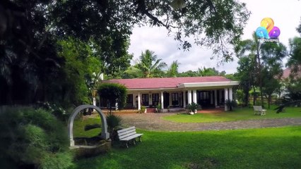 Uppum Mulakum│Flowers│EP# 273-Bh11xGiqMAY