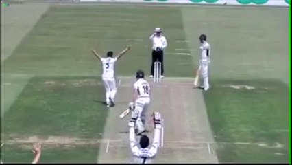 Mohammad Amir 2 Wickets