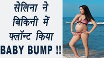 Celina Jaitley FLAUNTS her Baby Bump in a BIKINI; Watch | FilmiBeat