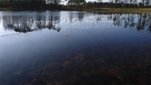 Etape 11 : Le Parc naturel régional des Landes de Gascogne avec Tony Estanguet