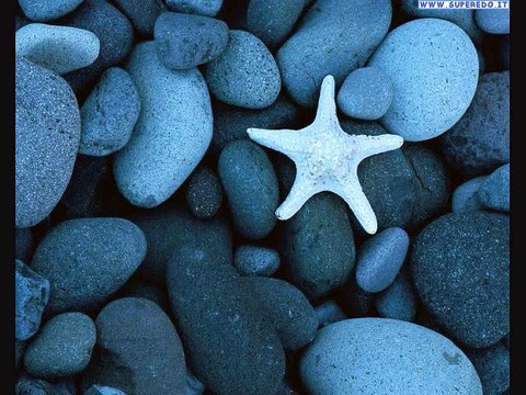 CHICK COREA ELEKTRIC BAND - LIGHT YEARS - Your Eyes