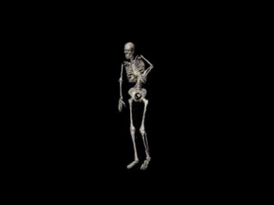 Skeleton Dance