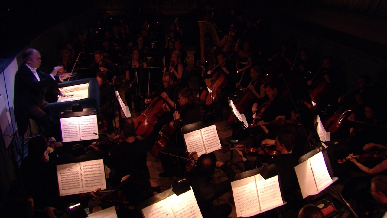 Tchaikovsky - Swan Lake (Maryinski Theatre, Valery Gergiev 2013)_1A