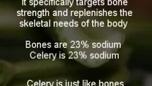 Guide line for balance diet
