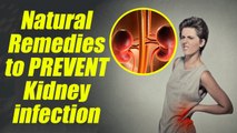 Kidney Infection prevention with Natural Remedies; Check out here | Boldsky