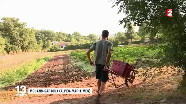 Alimentation : une commune des Alpes-Maritimes passe au vert