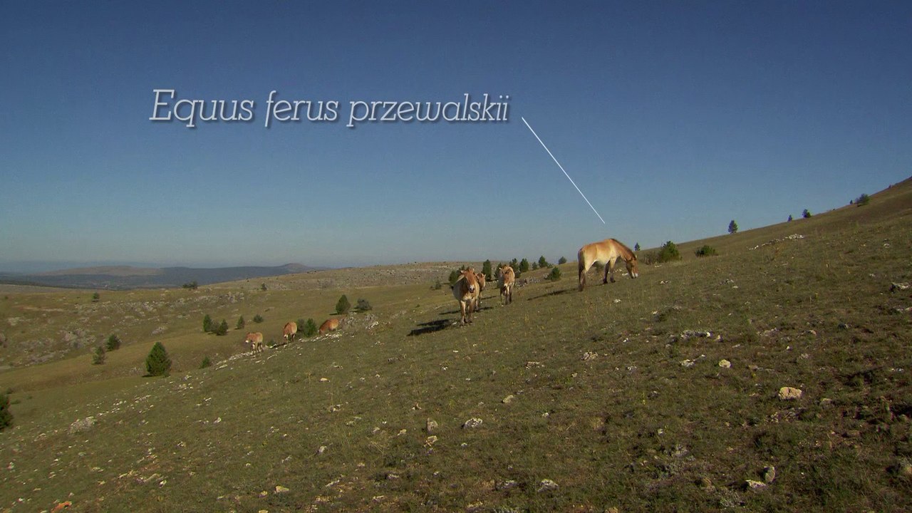 Le Parc national des Cévennes, réserve de la biosphère (Tour de France de la biodiversité 15/21)